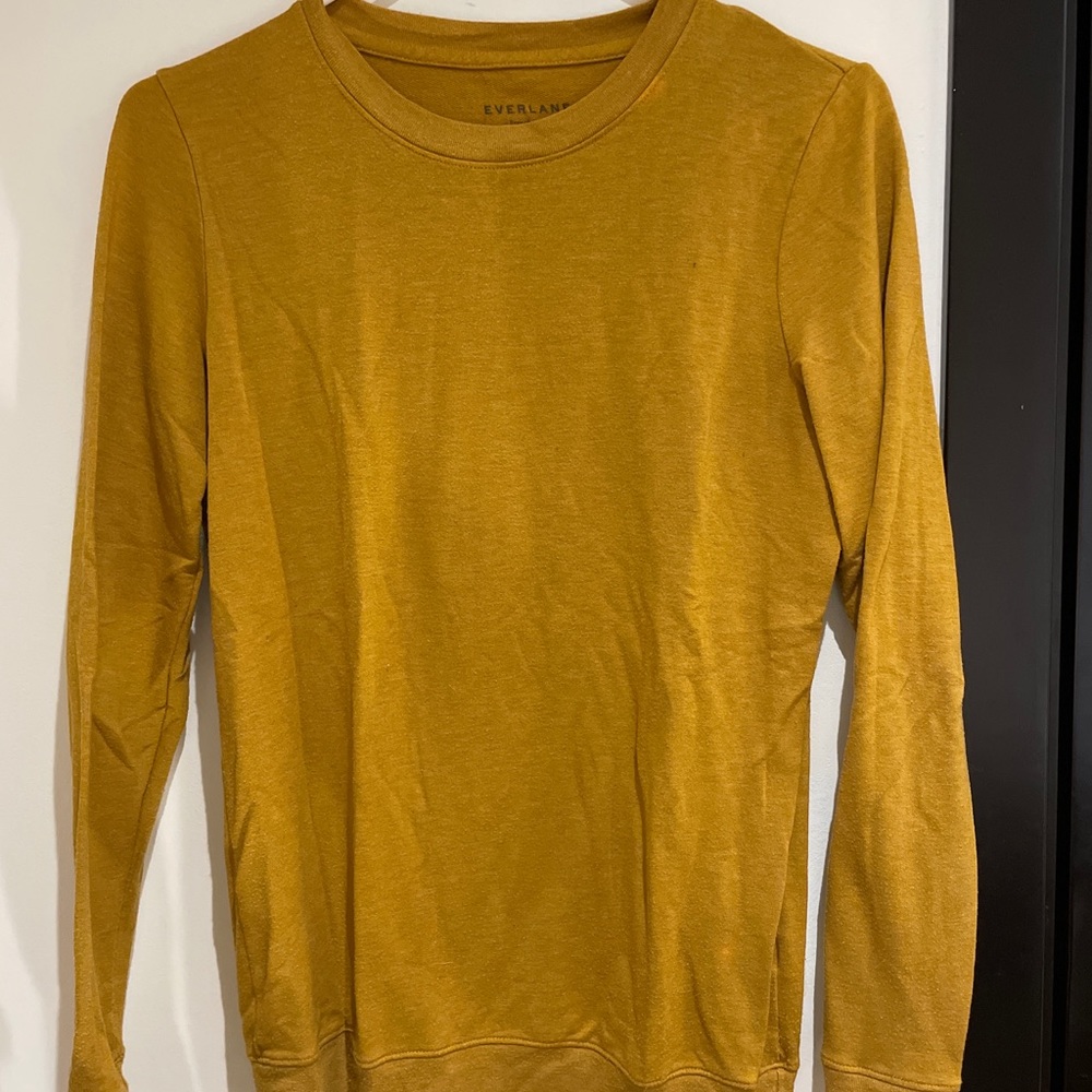 everlane sweatshirt french terry